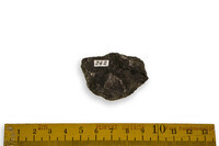 F 00242
          <br/>
          
          <br/>
          <em></em>